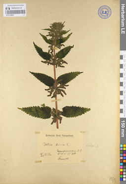 LE 01103953