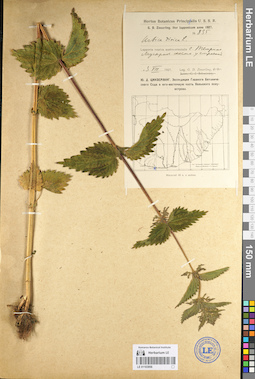 LE 01103956