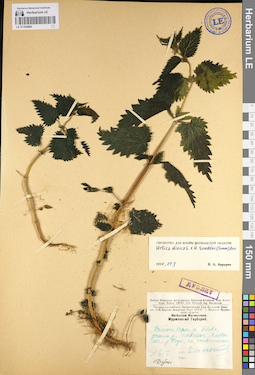 LE 01103964
