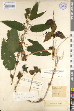 LE 01103973