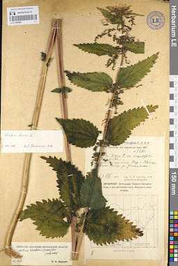 LE 01103980