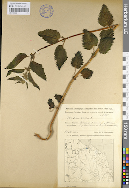 LE 01103988
