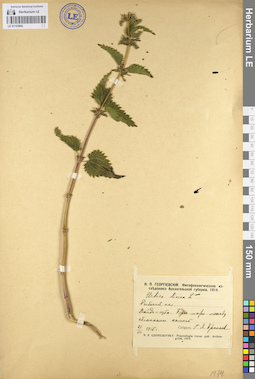 LE 01103993