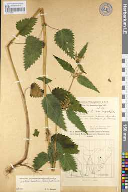 LE 01104002