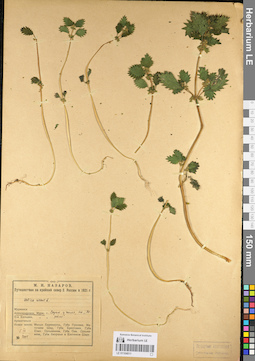 LE 01104011