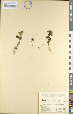 LE 01104013