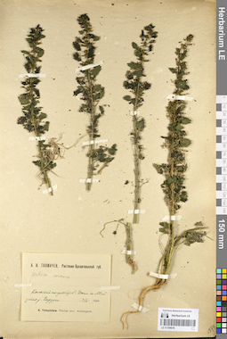 LE 01104016