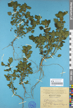 LE 01104022