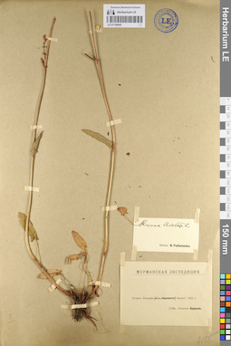 LE 01104045