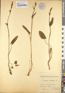 LE 01104047