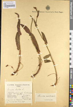 LE 01104060