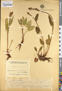LE 01104061