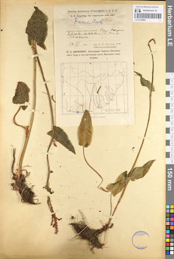 LE 01104064
