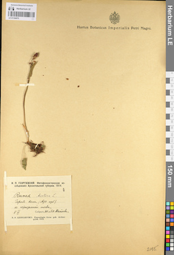 LE 01104075