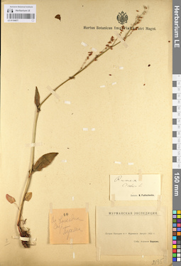 LE 01104077