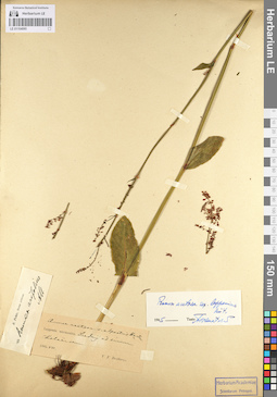 LE 01104095