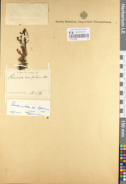 LE 01104098