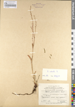 LE 01104103