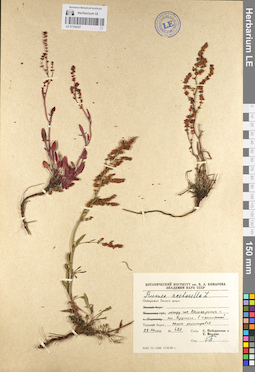 LE 01104107