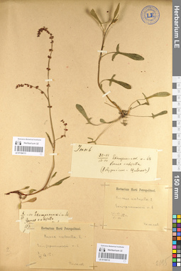 LE 01104112