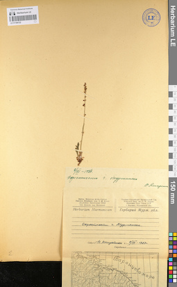 LE 01104132