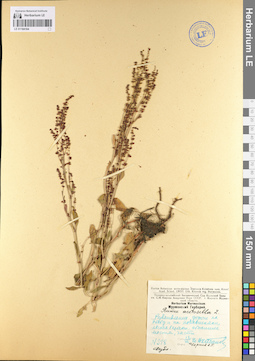 LE 01104164