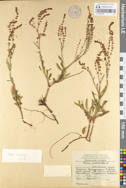 LE 01104179