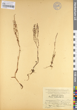 LE 01104182