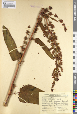 LE 01104190