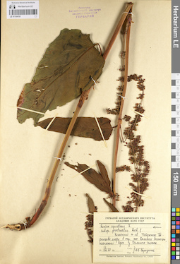 LE 01104191
