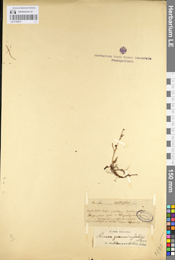 LE 01104237