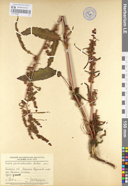 LE 01104255
