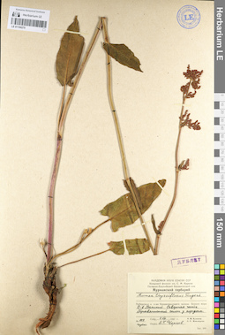 LE 01104270