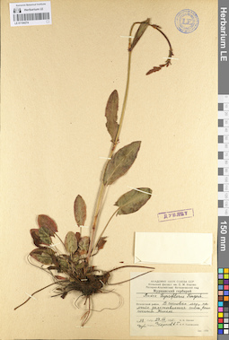 LE 01104274