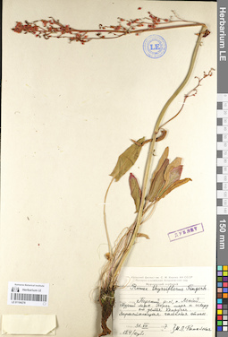 LE 01104278