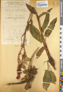 LE 01104284