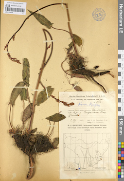LE 01104286
