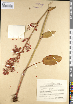 LE 01104289