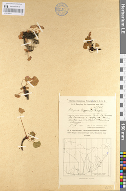 LE 01104311