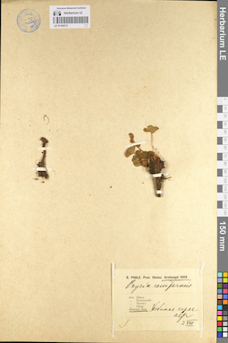 LE 01104313