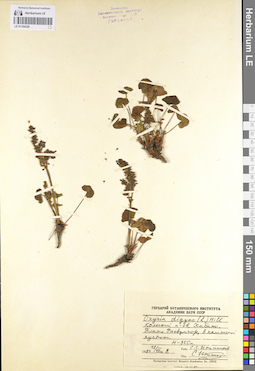 LE 01104329