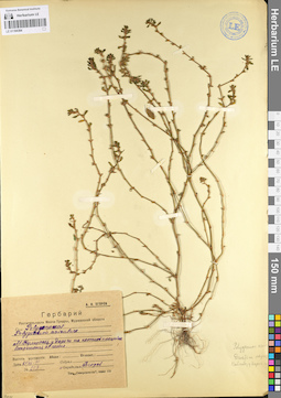 LE 01104384