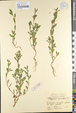 LE 01104398