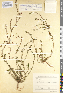 LE 01104403