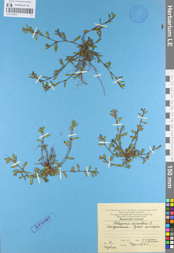 LE 01104415