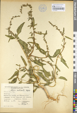 LE 01104451