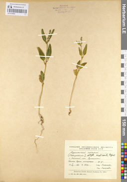 LE 01104453
