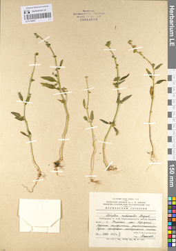 LE 01104457