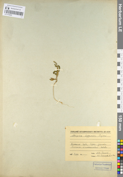LE 01104458
