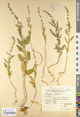 LE 01104461